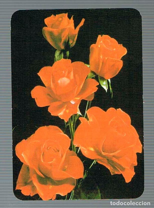 Coleccionismo calendarios: A&Ntilde;O 2005, ROSAS - Foto 1