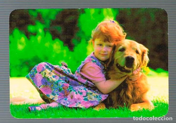 Coleccionismo calendarios: A&Ntilde;O 2005, NI&Ntilde;A CON UN PERRO - Foto 1