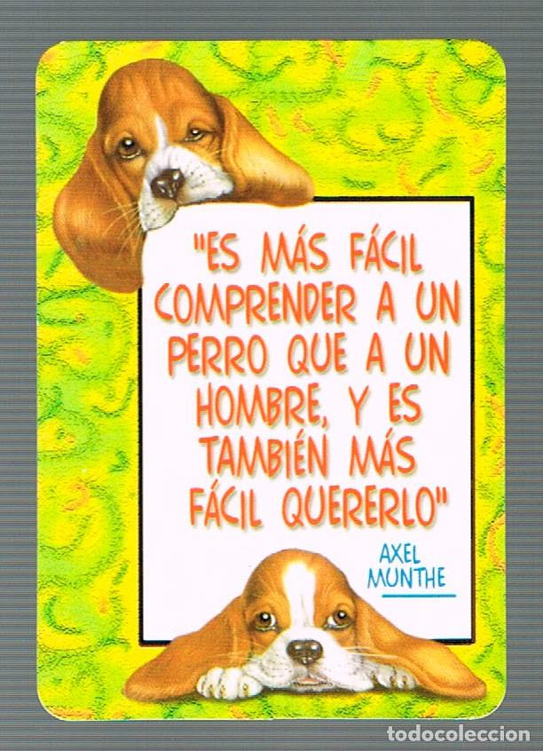 Coleccionismo calendarios: A&Ntilde;O 2003, CALENDARIO PERRO - Foto 1