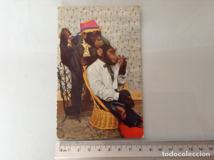 Coleccionismo calendarios: Postal a&ntilde;os 50 - Foto 2