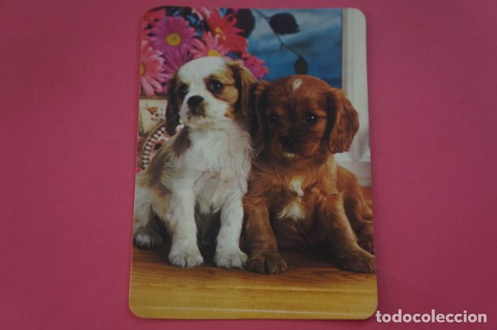 Collezionismo Calendari: CALENDARIO DE BOLSILLO CON PUBLICIDAD PERROS A&Ntilde;O 1990 LOTE 14 MIRAR FOTOS