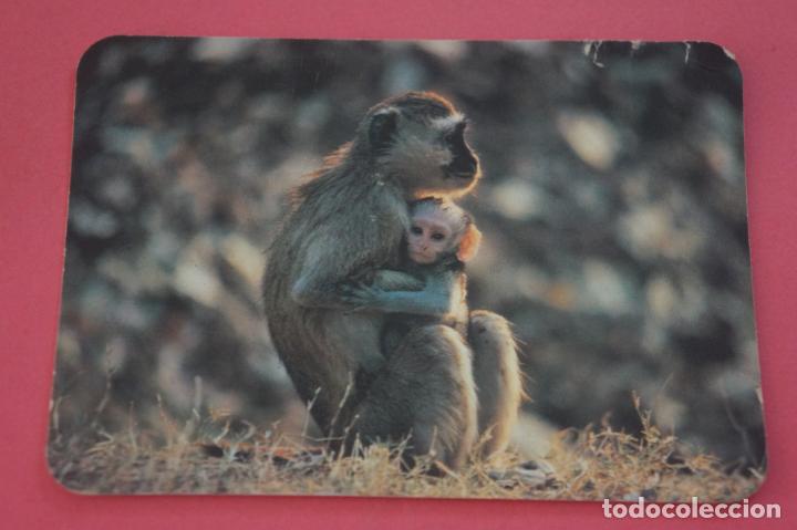 Collezionismo Calendari: CALENDARIO DE BOLSILLO CON PUBLICIDAD MONA Y MONITO A&Ntilde;O 1990 LOTE 14 MIRAR FOTOS