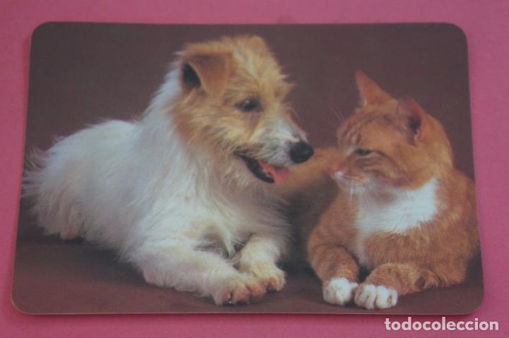 Collezionismo Calendari: CALENDARIO DE BOLSILLO CON PUBLICIDAD PERRO Y GATO A&Ntilde;O 1990 LOTE 14 MIRAR FOTOS