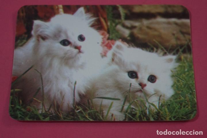 Collectionnisme Calendriers: CALENDARIO DE BOLSILLO CON PUBLICIDAD GATOS A&Ntilde;O 1988 LOTE 15