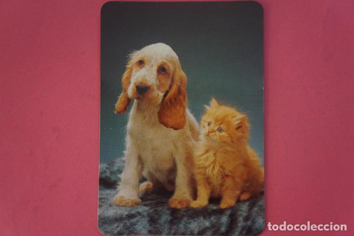 Coleccionismo Calendarios: CALENDARIO DE BOLSILLO CON PUBLICIDAD PERRO Y GATO A&Ntilde;O 1996 LOTE 14 MIRAR FOTOS