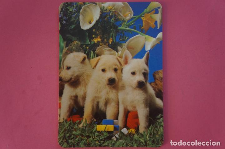 Coleccionismo Calendarios: CALENDARIO DE BOLSILLO CON PUBLICIDAD PERROS A&Ntilde;O 1996 LOTE 14 MIRAR FOTOS
