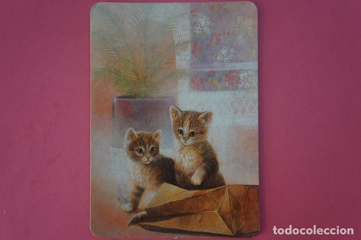 Coleccionismo Calendarios: CALENDARIO DE BOLSILLO CON PUBLICIDAD GATOS A&Ntilde;O 1995 LOTE 14 MIRAR FOTOS
