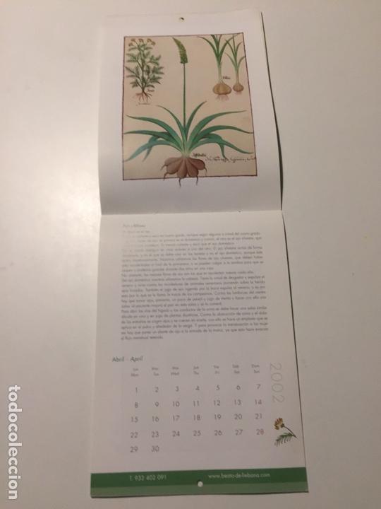 Coleccionismo calendarios: Calendario 2002 LIBRO DE LOS MEDICAMENTOS SIMPLES M. MOLEIRO - Foto 2