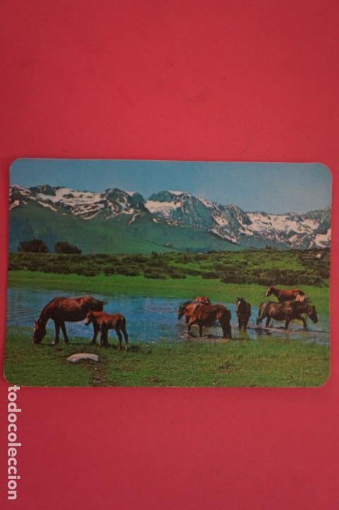 Coleccionismo Calendarios: CALENDARIO DE BOLSILLO CON PUBLICIDAD PAISAJE DE CABALLOS A&Ntilde;O 1981 LOTE 10 MIRAR FOTOS