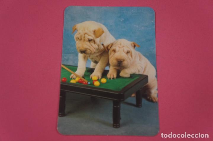 Collectables Calendars: CALENDARIO DE BOLSILLO CON PUBLICIDAD FOTO COLOR PAREDES A&Ntilde;O 2005 LOTE 12 MIRAR FOTOS