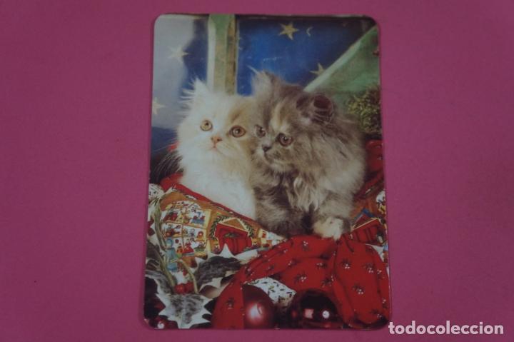 Collectables Calendars: CALENDARIO DE BOLSILLO CON PUBLICIDAD RUMA ARTICULOS DE IMPORTACION A&Ntilde;O 2005 LOTE 12 MIRAR FOTOS