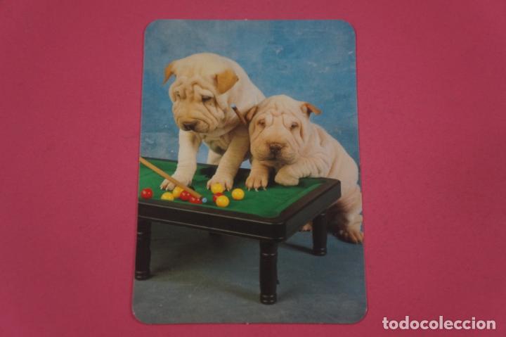 Collectables Calendars: CALENDARIO DE BOLSILLO CON PUBLICIDAD FOTO COLOR PAREDES 2005 LOTE 12 MIRAR FOTOS