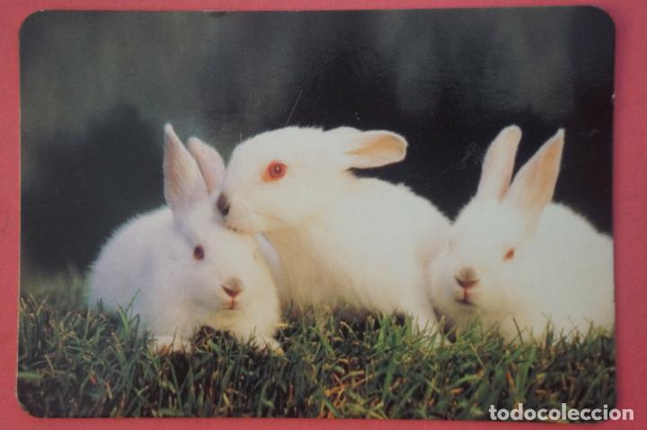 Collectables Calendars: CALENDARIO DE BOLSILLO CON PUBLICIDAD FOTO COLOR PAREDES 2001 LOTE 12 MIRAR FOTOS