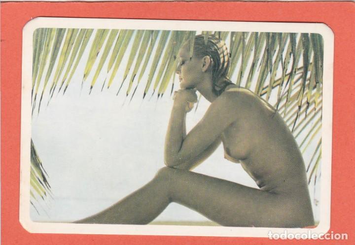 Coleccionismo calendarios: CALENDARIO EROTICO PORTUGAL 1984 - DESNUDO FEMENINO