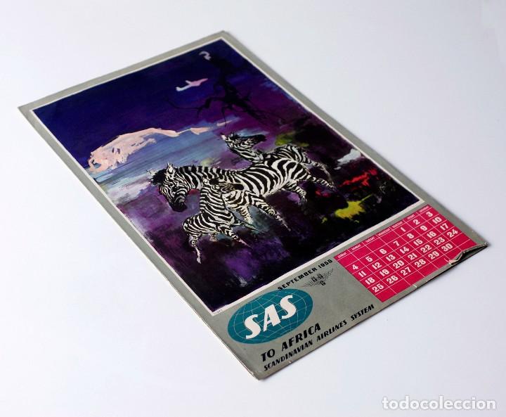 Coleccionismo Calendarios: P&aacute;gina de calendario para usar como poster. L&iacute;nea a&eacute;rea SAS. Septiembre 1955. To Africa. Zebra.