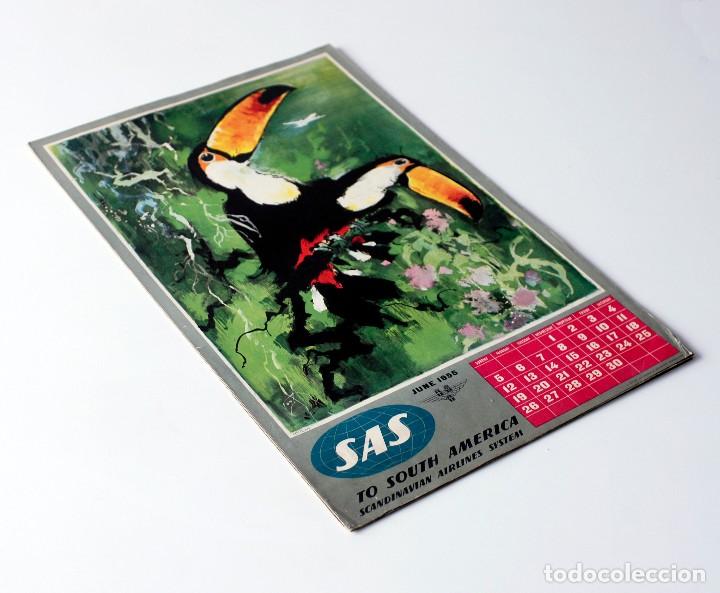 Coleccionismo Calendarios: P&aacute;gina de calendario para usar como poster. L&iacute;nea a&eacute;rea SAS. Junio 1955. To South America. Toucan.