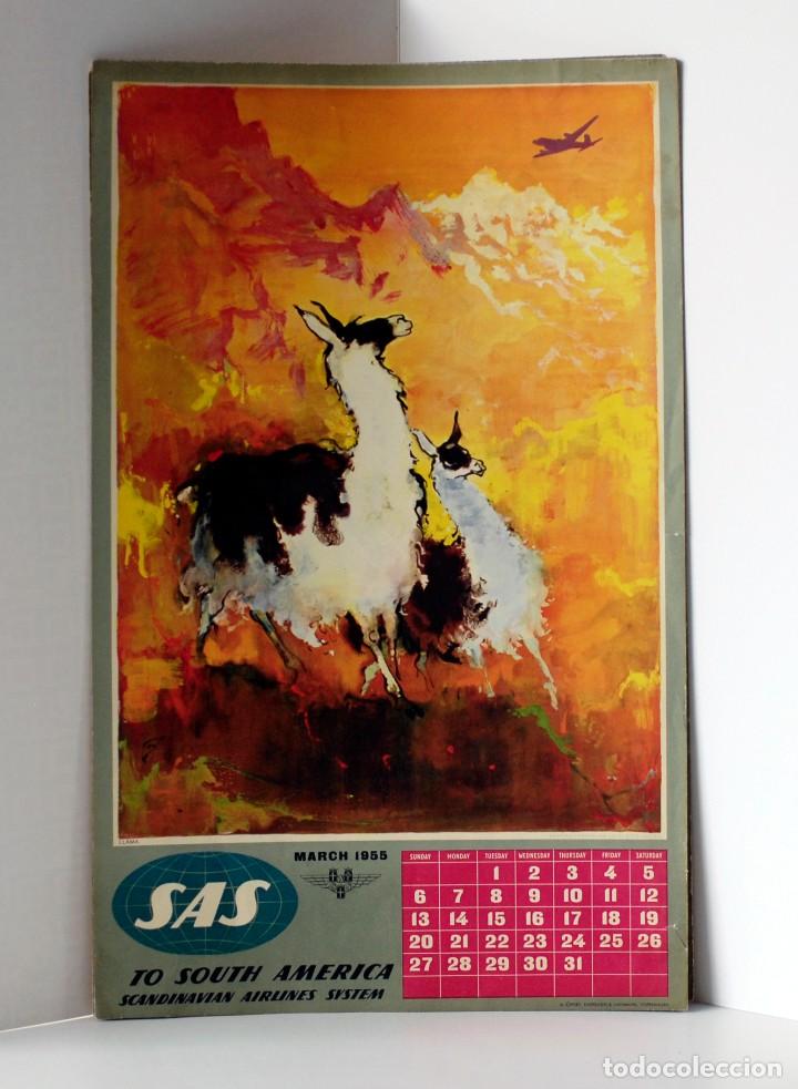 Coleccionismo Calendarios: P&aacute;gina de calendario para usar como poster. L&iacute;nea a&eacute;rea SAS. Marzo 1955. To South America. Llama.