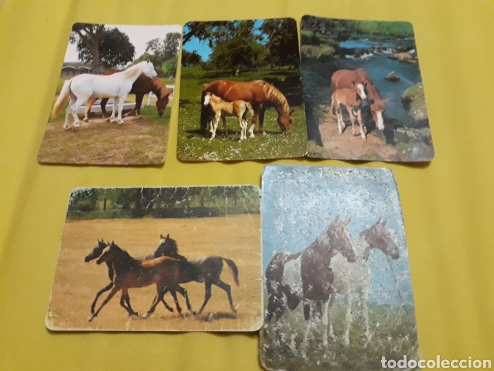 5 Calendario bolsillo Caballos