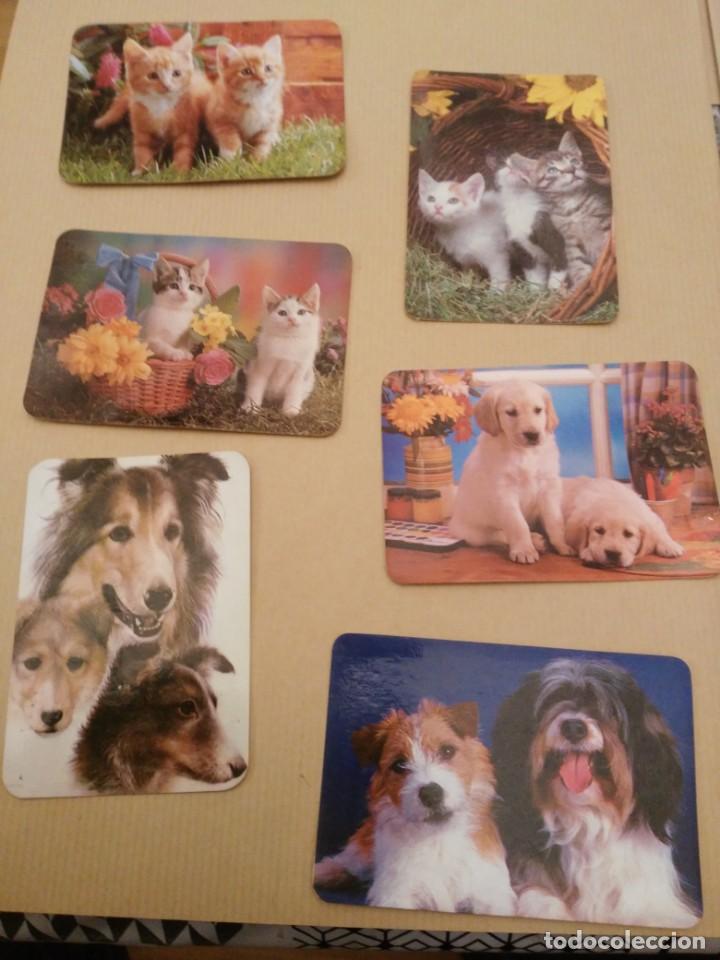 Coleccionismo calendarios: perros y gatos - Foto 1