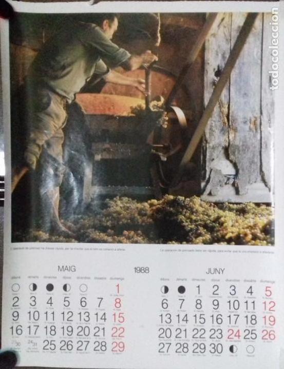 Coleccionismo Calendarios: CALENDARIO. MAYO - JUNIO 1988. CATALU&Ntilde;A. PROCESO DE PRENSADO DE LA UVA.