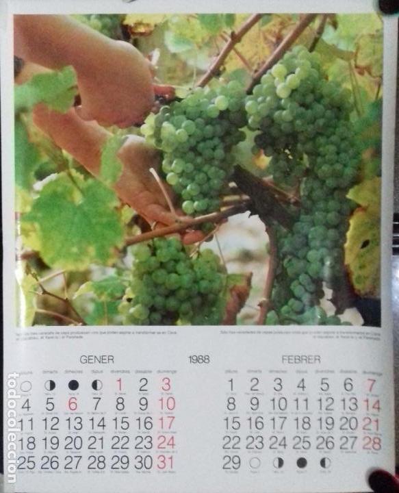 Coleccionismo Calendarios: CALENDARIO. ENERO - FEBRERO 1988. CATALU&Ntilde;A. LEER.