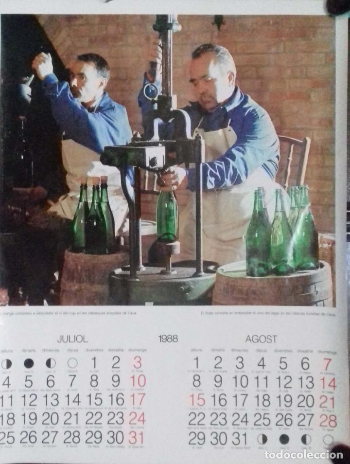 Coleccionismo Calendarios: CALENDARIO. JULIO - AGOSTO 1988. CATALU&Ntilde;A. LEER.