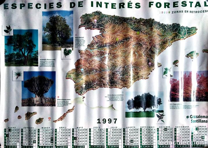 Colecionismo Calend&aacute;rios: CALENDARIO. ESPECIES DE INTERES FORESTAL. ZONAS DE GRAZALEMA. 1997.