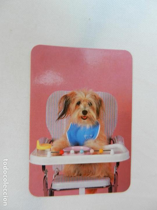 Collectables Calendars: CALENDARIO A&Ntilde;O 1991 - VER FOTO - W.C.B. N&ordm; 115