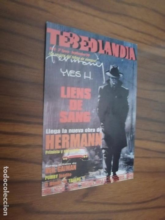 Coleccionismo Calendarios: CALENDARIO. TEBEOLANDIA. 2001. BUEN ESTADO. RARO