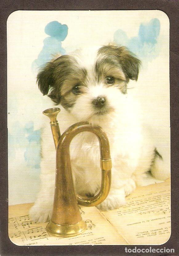 Coleccionismo Calendarios: CALENDARIO DE BOLSILLO DE SERIE A&Ntilde;O 2005  PERRO Y TROMPETA - PUBLICIDAD - VER FOTO REVERSO