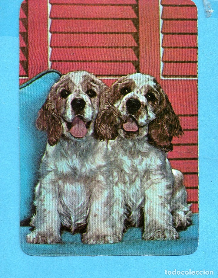 Coleccionismo Calendarios: CALENDARIO - DE CASA - PORTUGAL NI&Ntilde;A Y PERRO DEL A&Ntilde;O 1989 PUBLICIDAD M&Oacute;VEIS VILA NOVA DE GAIA