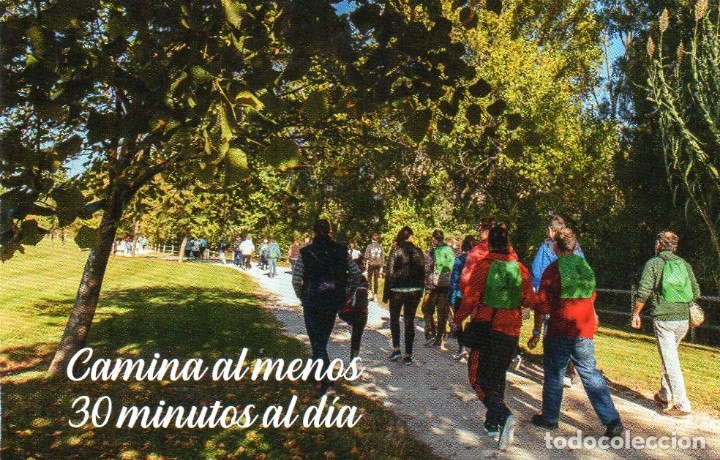 Coleccionismo calendarios: Calendario de Publicidad 2019 - GOBIERNO DE LA RIOJA