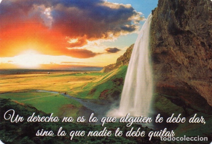 Coleccionismo Calendarios: Calendario de Publicidad 2016 - CEFENISA, S.L.