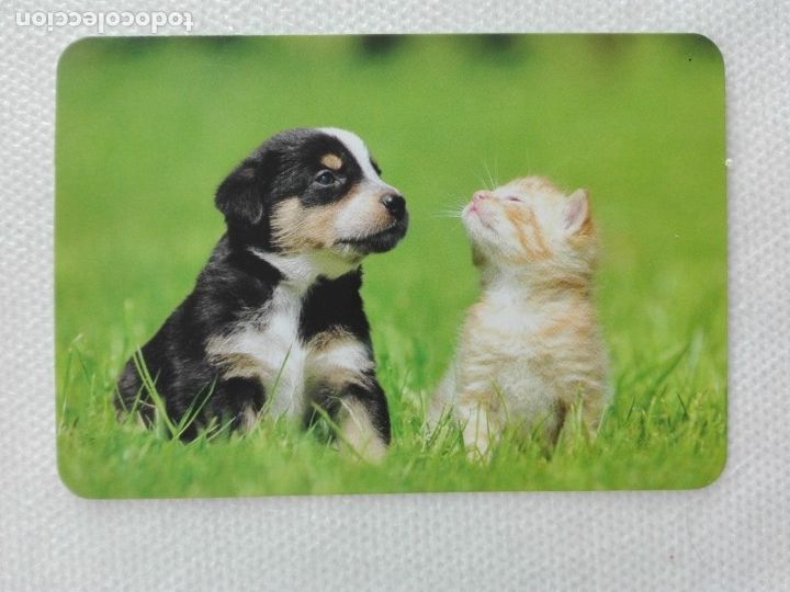 Coleccionismo calendarios: calendario bolsillo 2016 - L 135 - PERRO GATO - PUB CLINICA VETERINARIA ARGANZUELA - MADRID