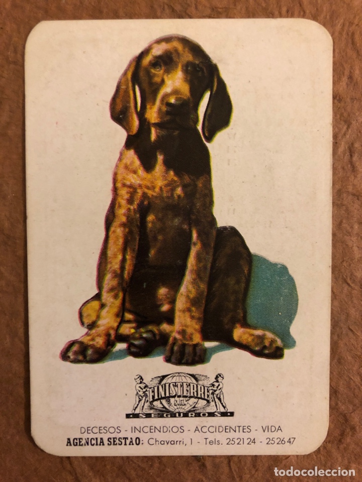 Collezionismo Calendari: FINISTERRE SEGUROS (AGENCIA SESTAO). CALENDARIO PUBLICITARIO DEL A&Ntilde;O 1965. 6,3 x 9,3 Cms.