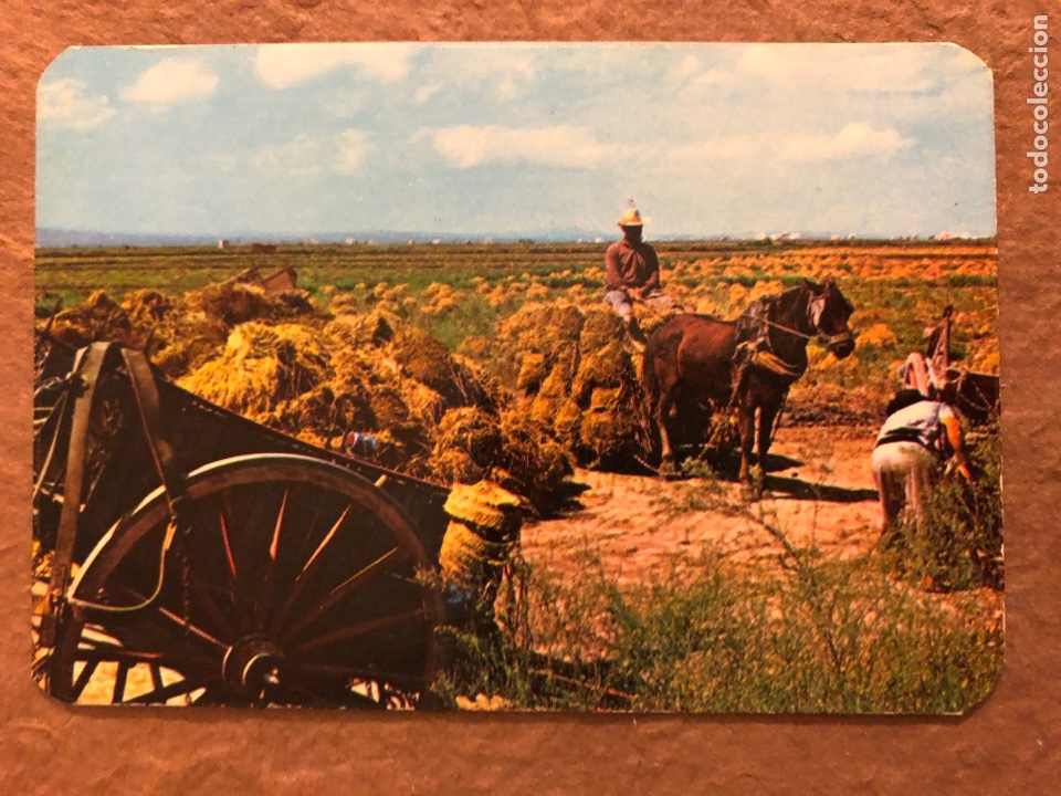 Colecionismo Calend&aacute;rios: BAR FORTUNY (SAN BAUDILLO DE LLOBREGAT). CALENDARIO PUBLICITARIO DEL A&Ntilde;O 1973. 6,7 x 9,7 Cms.