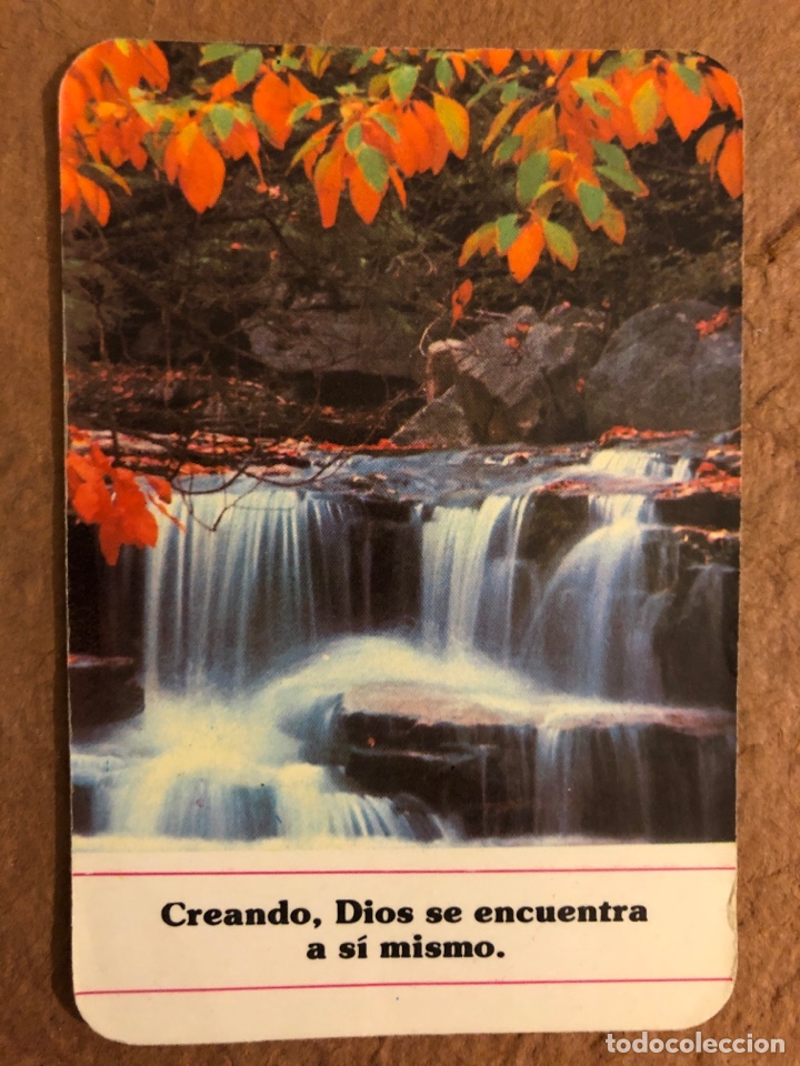 Collezionismo Calendari: SANATORIO SANTA CLOTILDE (SANTANDER). CALENDARIO PUBLICITARIO DEL A&Ntilde;O 1984. 6,4 x 9,4 Cms.