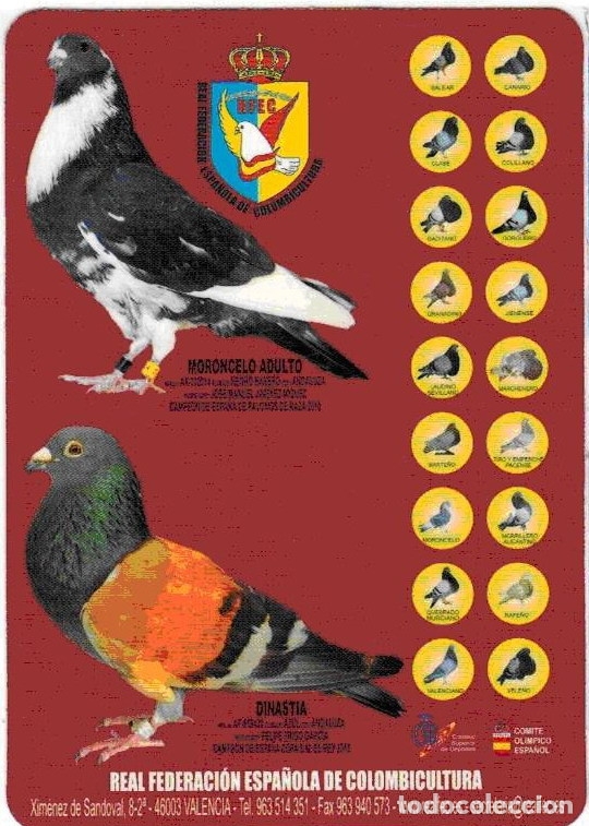 Coleccionismo Calendarios: CALENDARIO REAL FEDERACION ESPA&Ntilde;OLA COLOMBICULTURA 2011