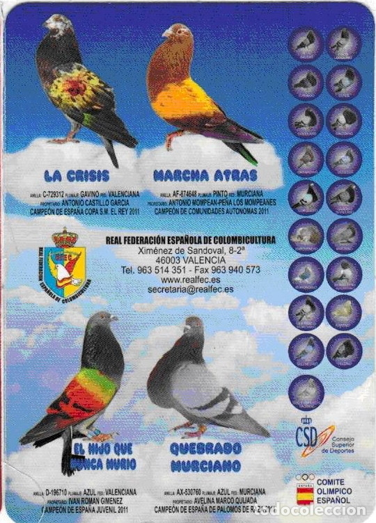 Coleccionismo Calendarios: CALENDARIO REAL FEDERACION ESPA&Ntilde;OLA COLOMBICULTURA 2012