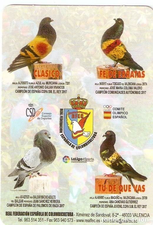 Coleccionismo Calendarios: CALENDARIO REAL FEDERACION ESPA&Ntilde;OLA COLOMBICULTURA 2018