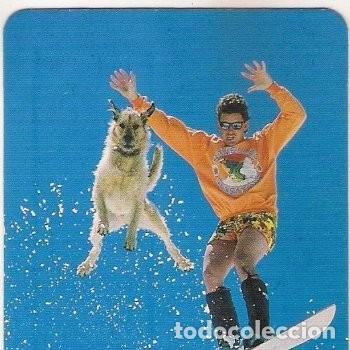 Coleccionismo Calendarios: -35879 CALENDARIO DEPORTES DE INVIERNO, A&Ntilde;O 1995, CON PUBLICIDAD, DEPORTES, ESQUI