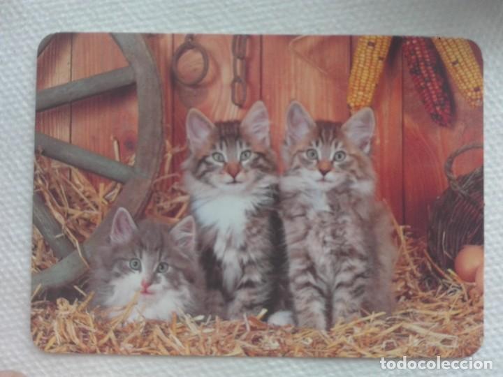 Collectables Calendars: CALENDARIO BOLSILLO 2007 - BO 578 - PUB. VENDEDOR LOTERIA ANTONIO LOPEZ - GATOS FAUNA