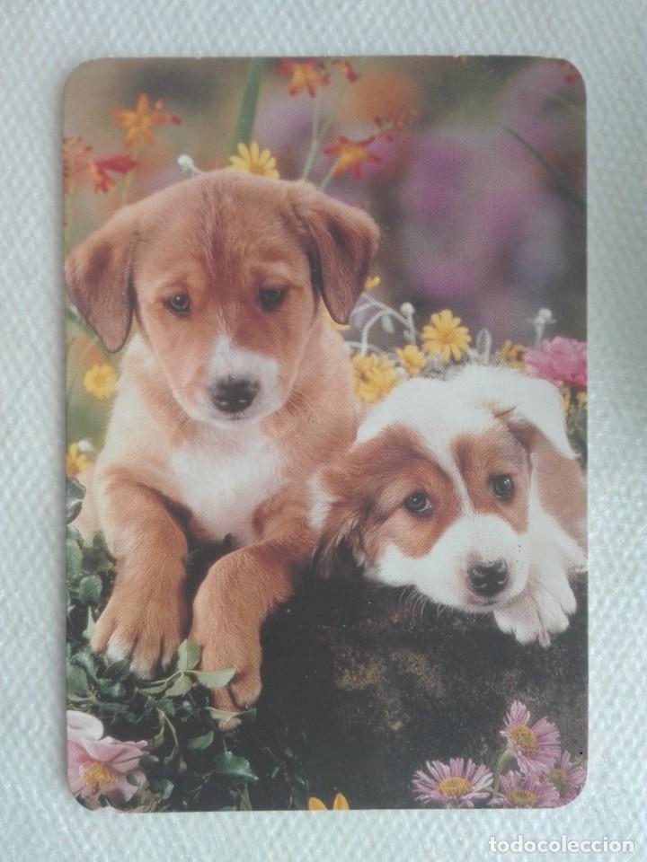 Collectables Calendars: CALENDARIO BOLSILLO 2002 - EGC 56 - PERRO - PUB. CARPINTERIA DECCA / CASTELLDEFELS BARCELONA