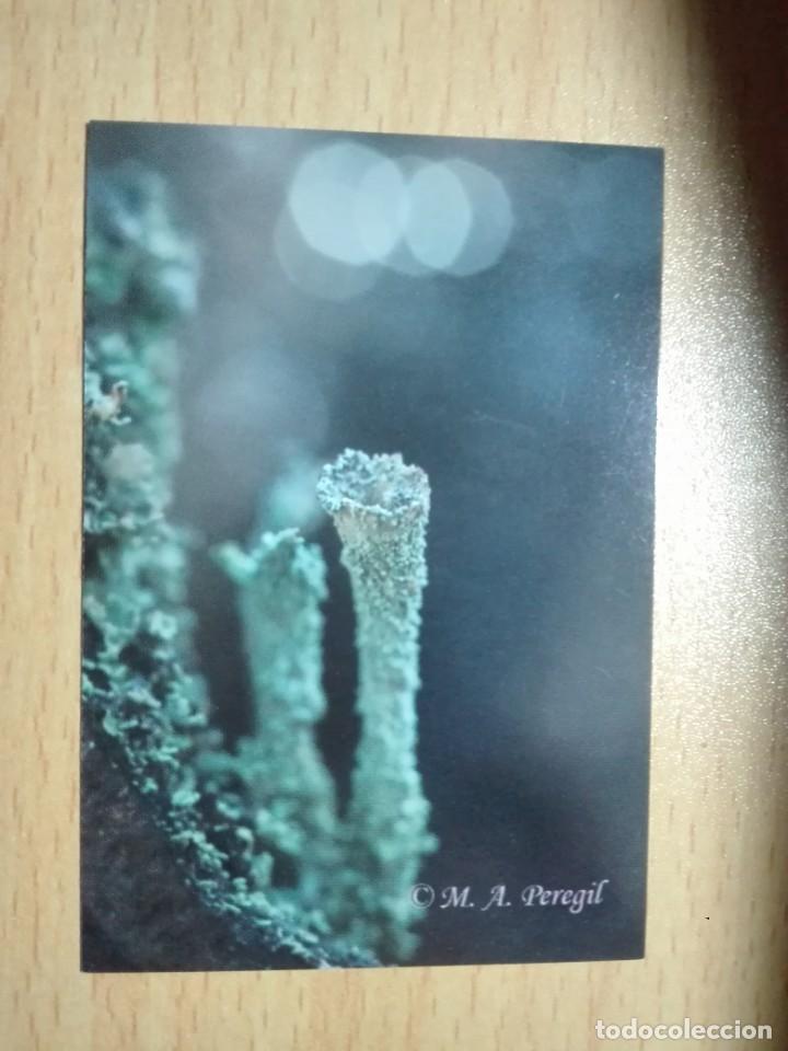 Coleccionismo Calendarios: CALENDARIO BOLSILLO 2011 - ESCUELA FOTOGRAFIA PEDRO MENENDEZ / M.A. PEREGIL