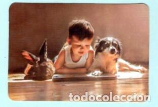 Colecionismo Calend&aacute;rios: CALENDARIO EXTRANJERO DE NI&Ntilde;O Y CONEJO Y PERRO DEL A&Ntilde;O 2020