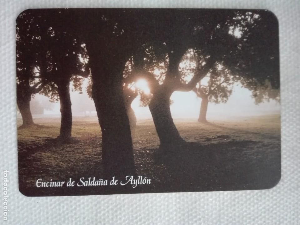 Collectionnisme Calendriers: calendario bolsillo 2003 - AYUNTAMIENTO AYLLON SEGOVIA - ENCINAR DE SALDA&Ntilde;A - ARBOL FLORA