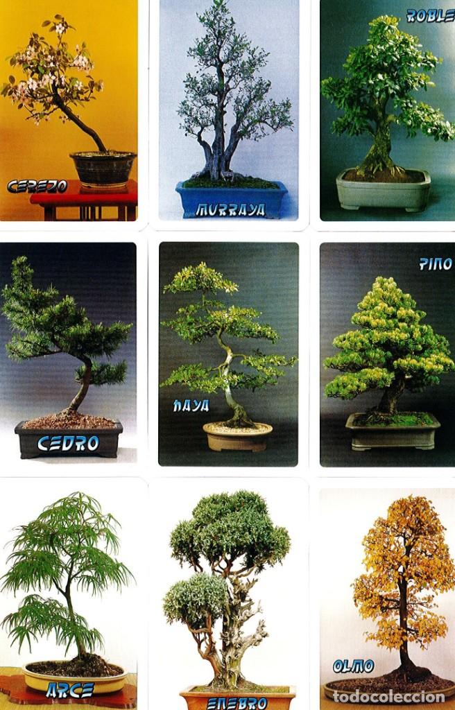 Collectionnisme Calendriers: 9 Calendarios de Bolsillo BONSAI de Naipes Comas - A&ntilde;o 2008