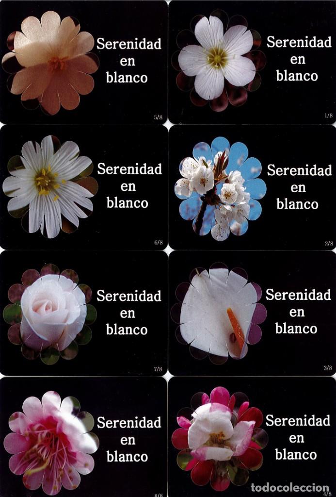 Collectionnisme Calendriers: COLECCI&Oacute;N LOTE DE 8 CALENDARIOS. A&Ntilde;O 2009. SERENIDAD EN BLANCO -  TEMA FLORES