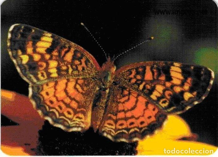 Coleccionismo Calendarios: CALENDARIO IMPRENTA IMPRES 2009 MARIPOSA