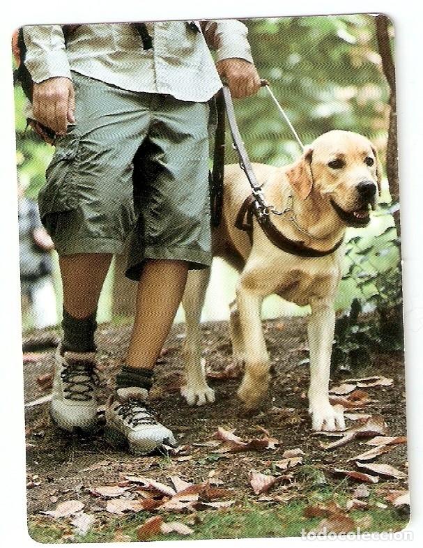 Coleccionismo Calendarios: CALENDARIO FUNDACION ONCE PERRO GUIA 2014